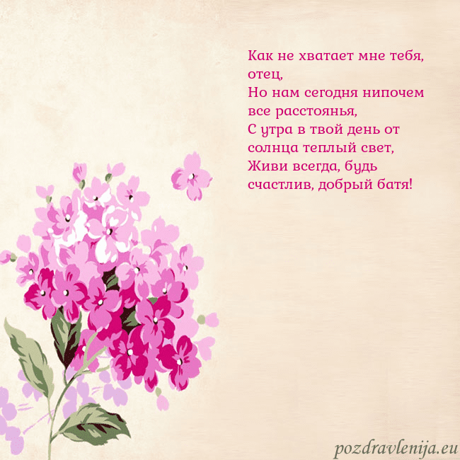 Открытка с гортензией