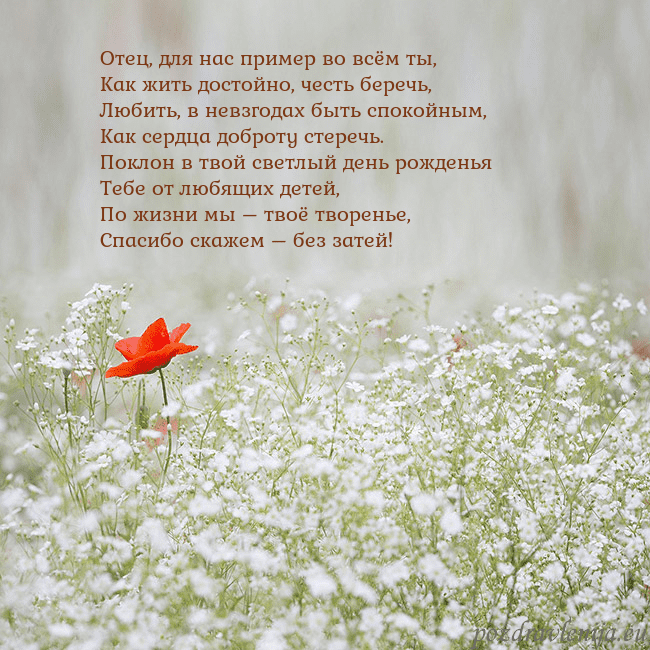 Электронная открытка с белыми цветами