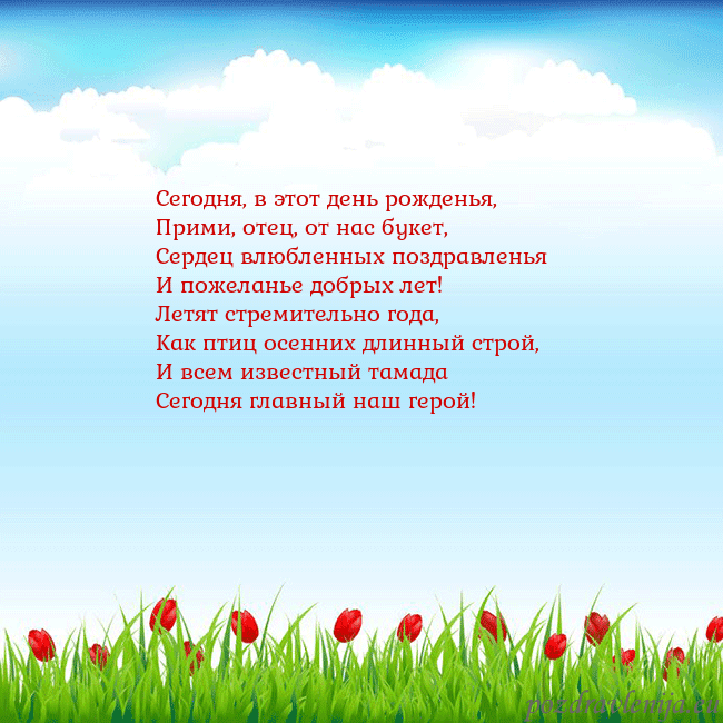 Открытка с тюльпанами