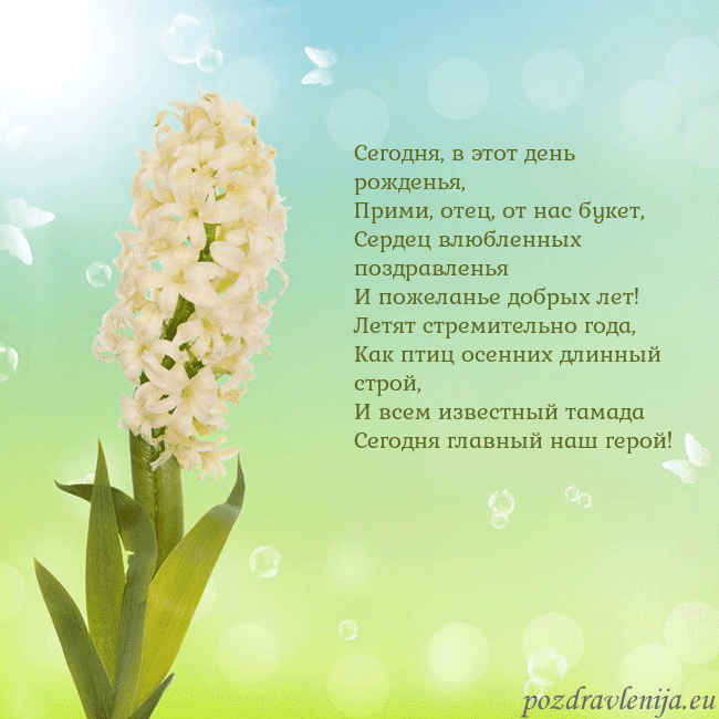 Открытка с гиацинтом