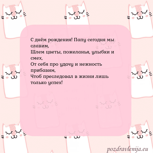 Розовая открытка с забавными кошками