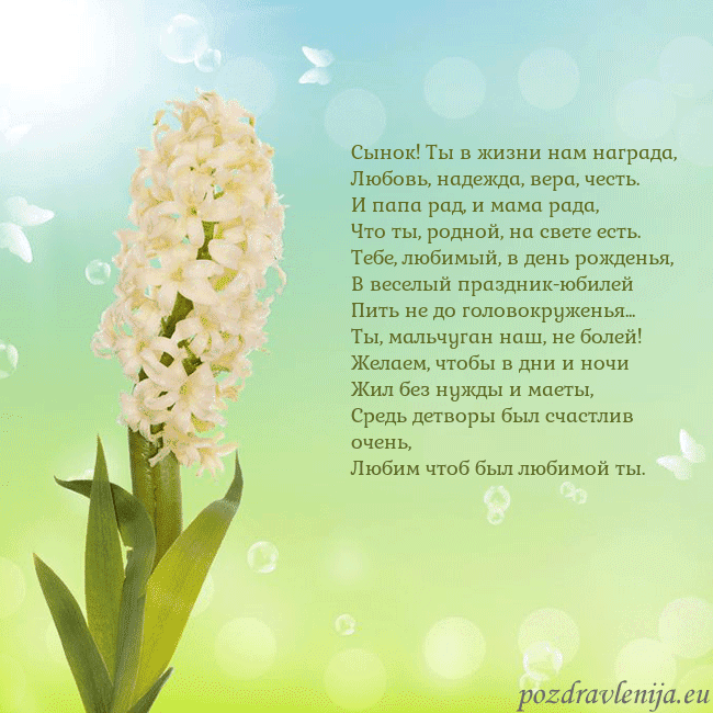 Открытка с гиацинтом