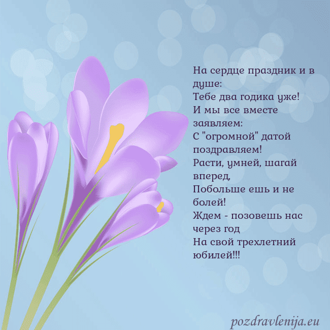 Открытка с крокусом