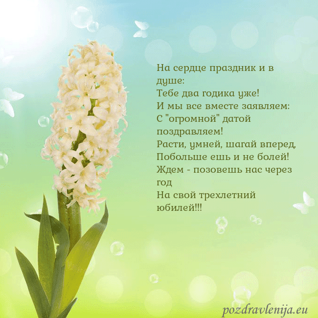 Открытка с гиацинтом