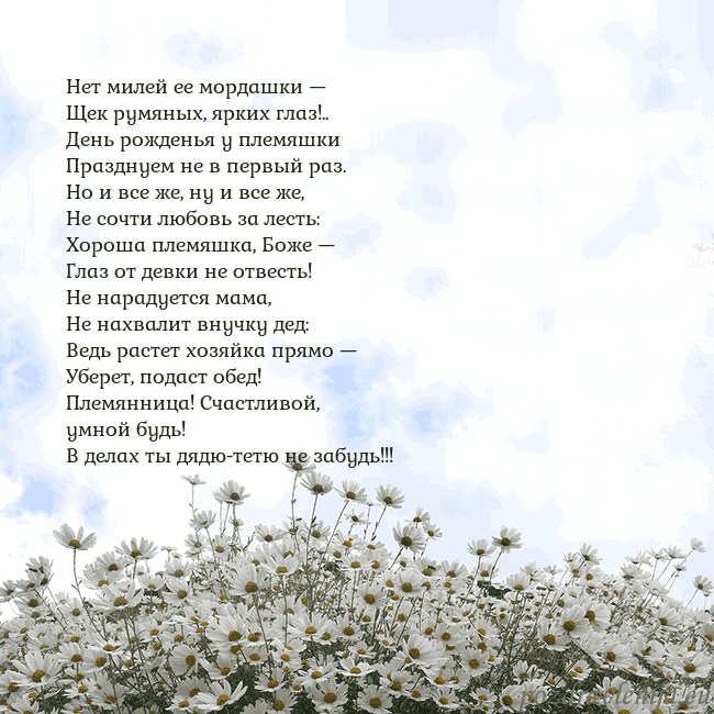 Открытка с ромашками