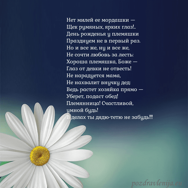 Открытка с большой ромашкой