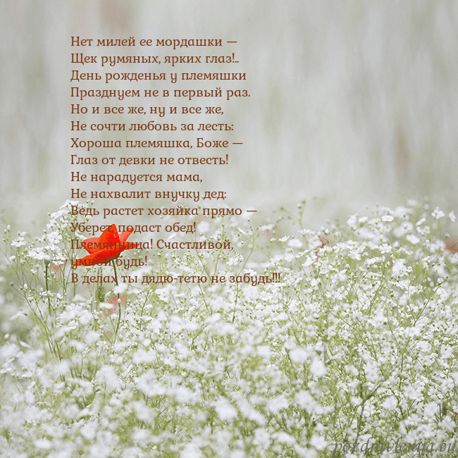 Электронная открытка с белыми цветами