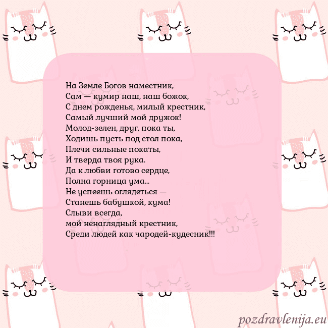 Розовая открытка с забавными кошками