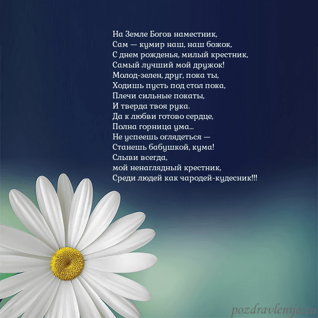 Открытка с большой ромашкой