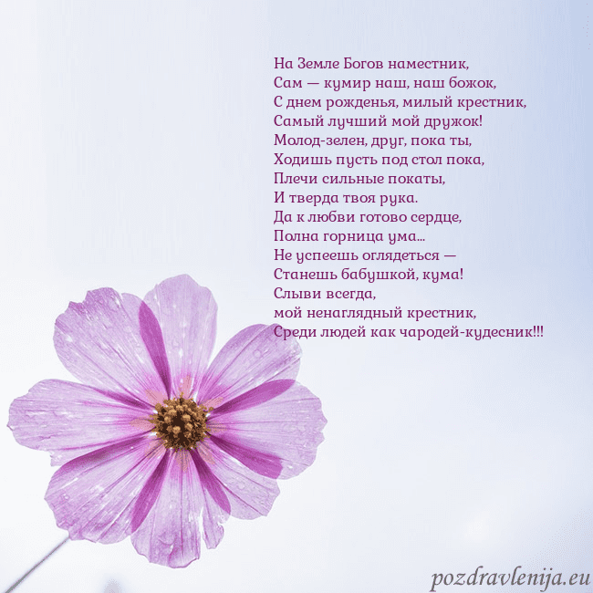 Электронная открытка с фиолетовым цветком