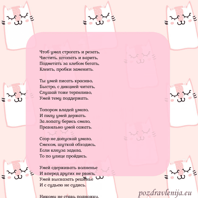 Розовая открытка с забавными кошками