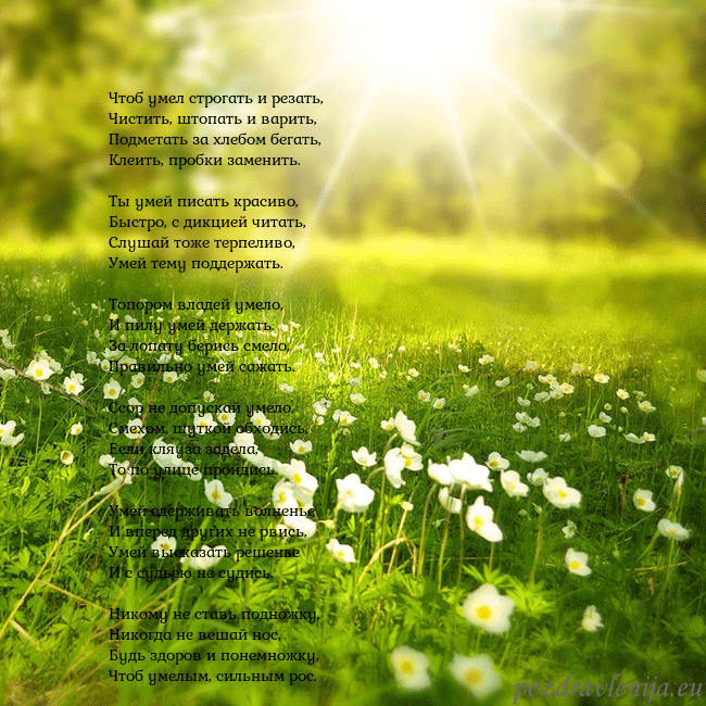 Электронная открытка с утопающим в солнечном свете лугом