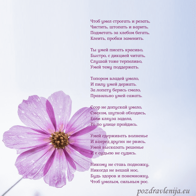 Электронная открытка с фиолетовым цветком