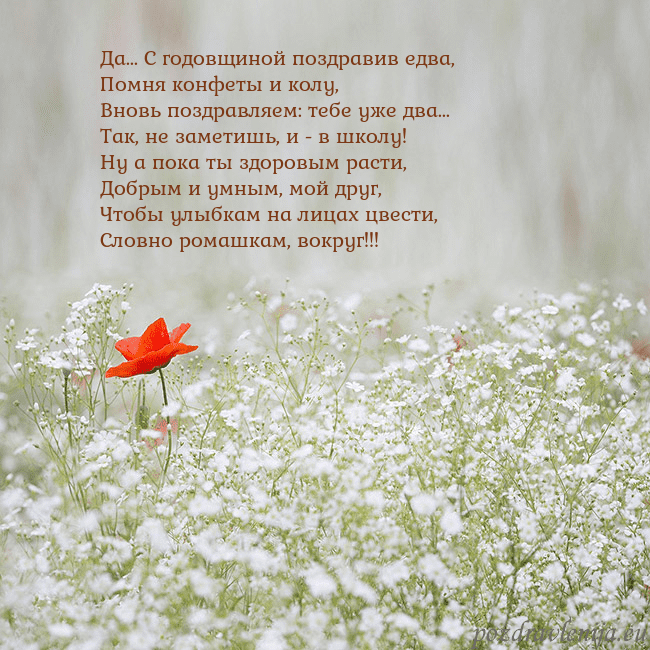 Электронная открытка с белыми цветами