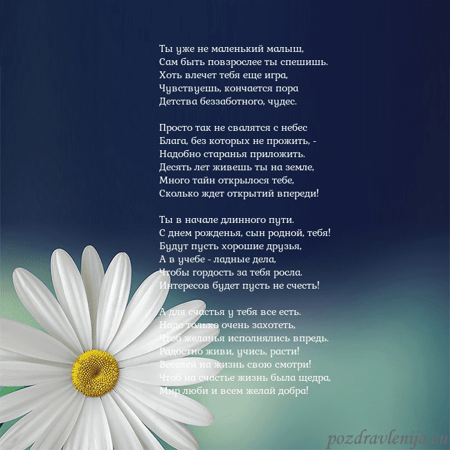 Открытка с большой ромашкой