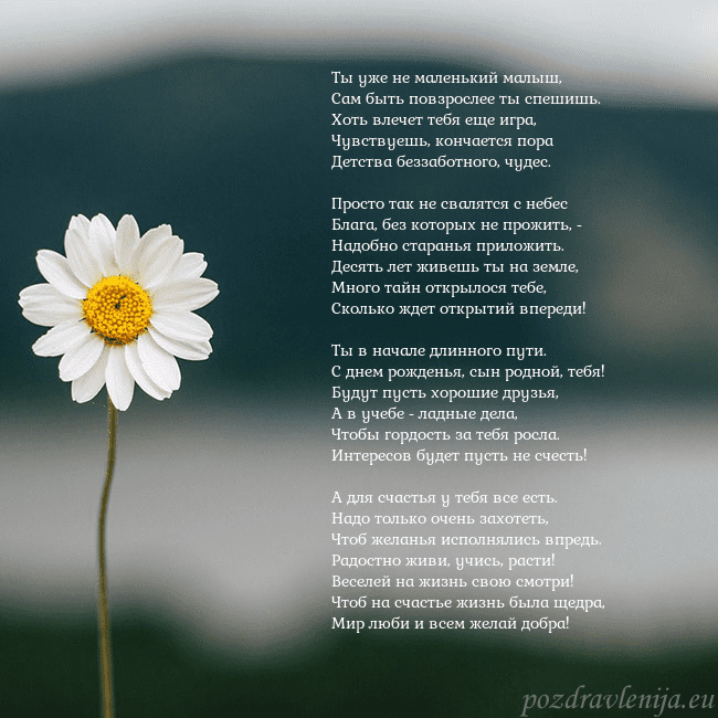 Электронная открытка с ромашкой