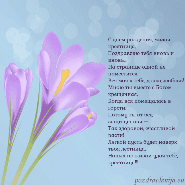Открытка с крокусом