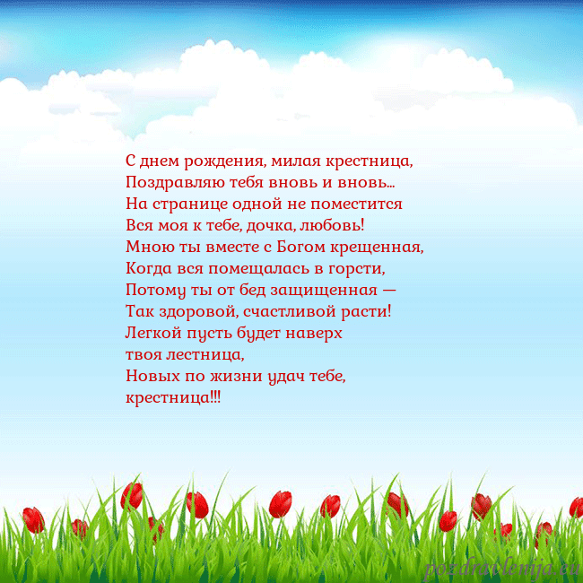 Открытка с тюльпанами