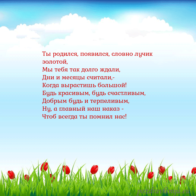 Открытка с тюльпанами