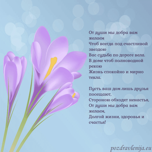 Открытка с крокусом