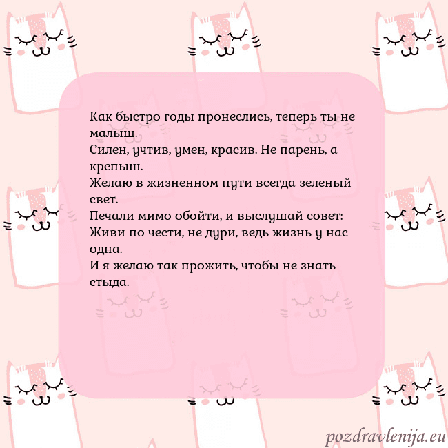 Розовая открытка с забавными кошками