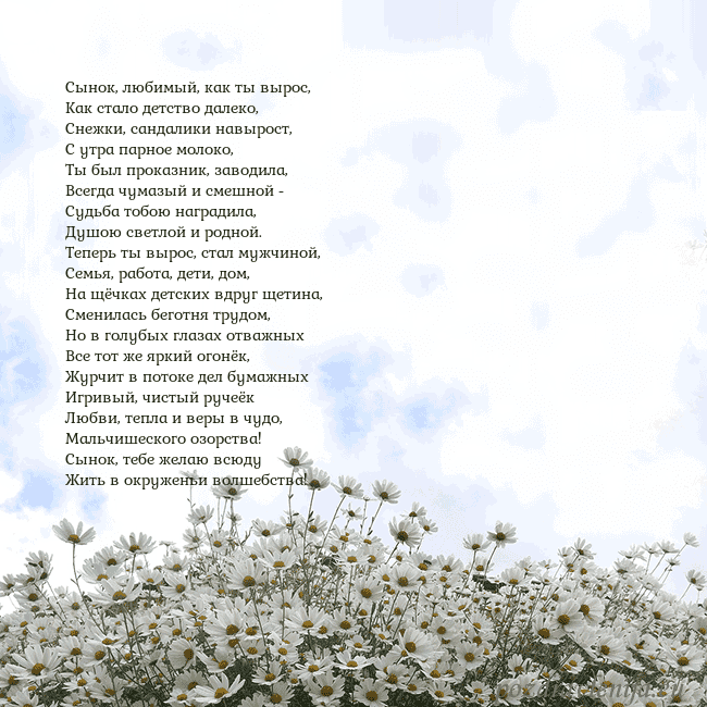 Открытка с ромашками