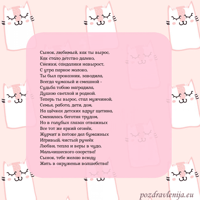 Розовая открытка с забавными кошками