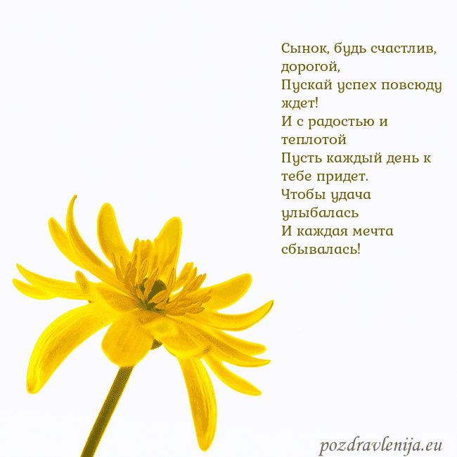 Открытка с желтым цветком