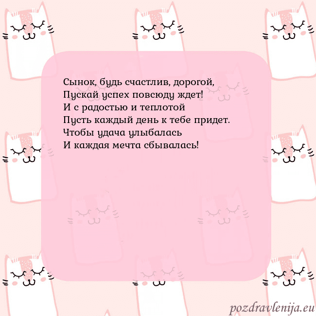 Розовая открытка с забавными кошками