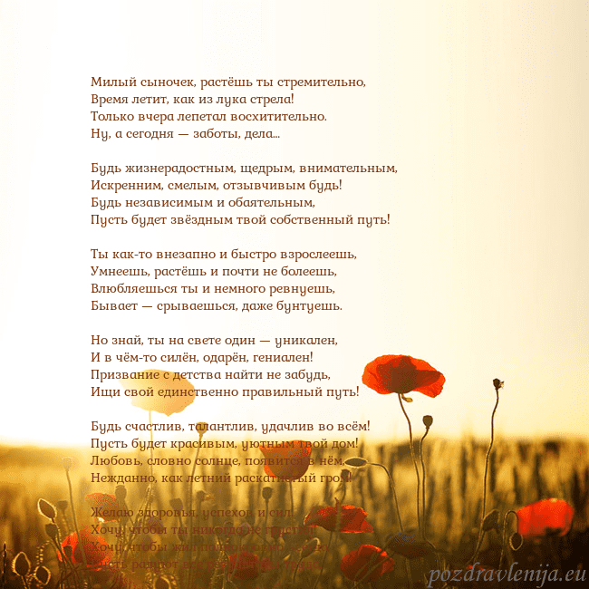 Электронная открытка с полем маков Милый сыночек, растёшь ты стремительно,
Время лети Электронная открытка с полем маков