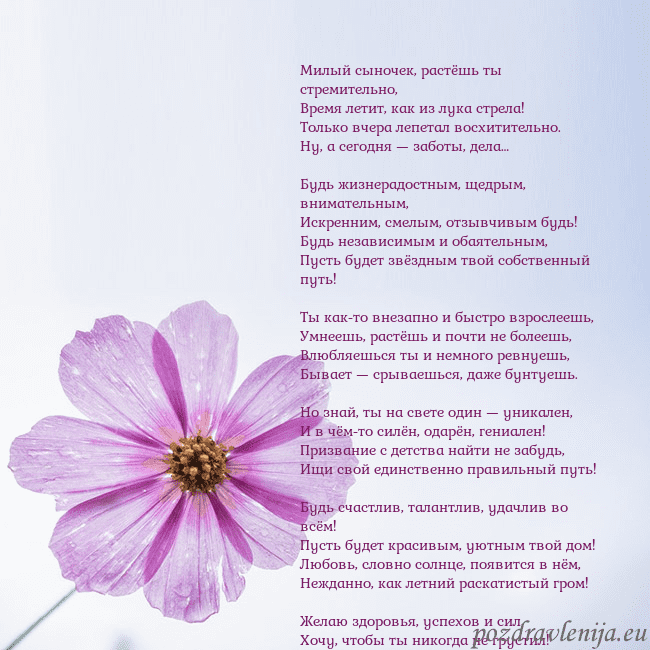 Электронная открытка с фиолетовым цветком Милый сыночек, растёшь ты стремительно,
Время лети Электронная открытка с фиолетовым цветком