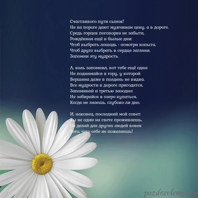 Открытка с большой ромашкой Счастливого пути сынок!
Hе на пороге дают мужчина Открытка с большой ромашкой
