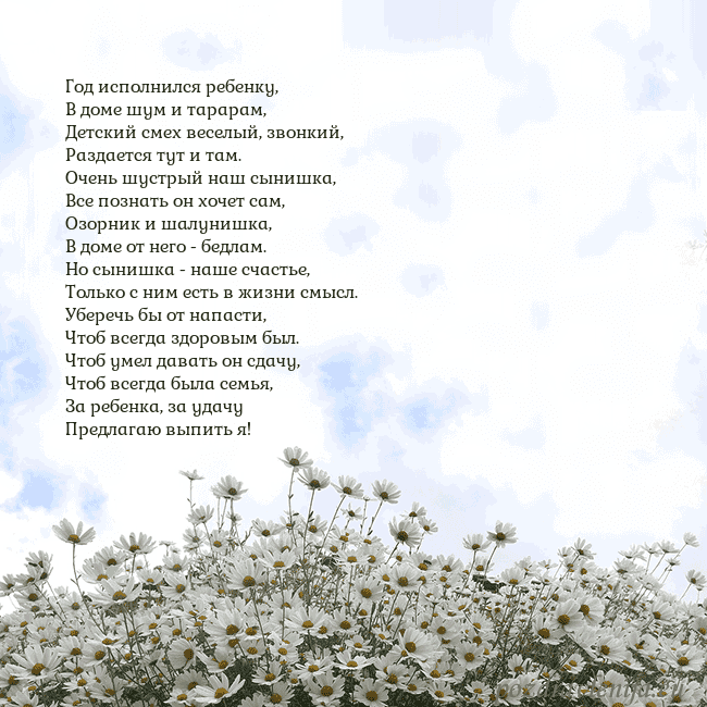 Открытка с ромашками