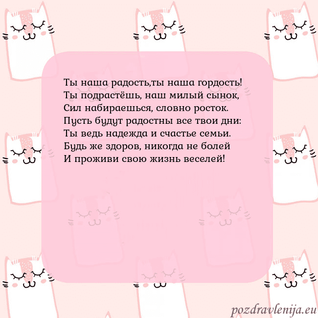 Розовая открытка с забавными кошками