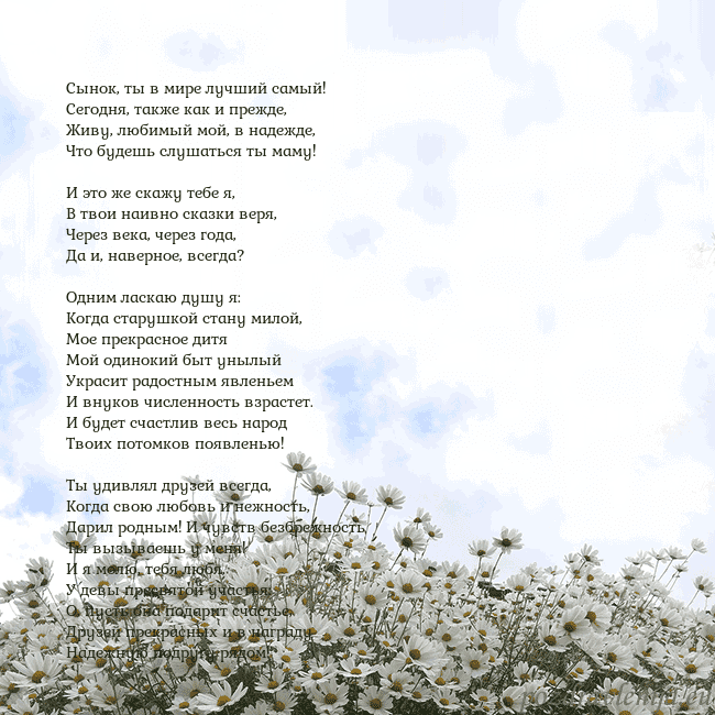 Открытка с ромашками