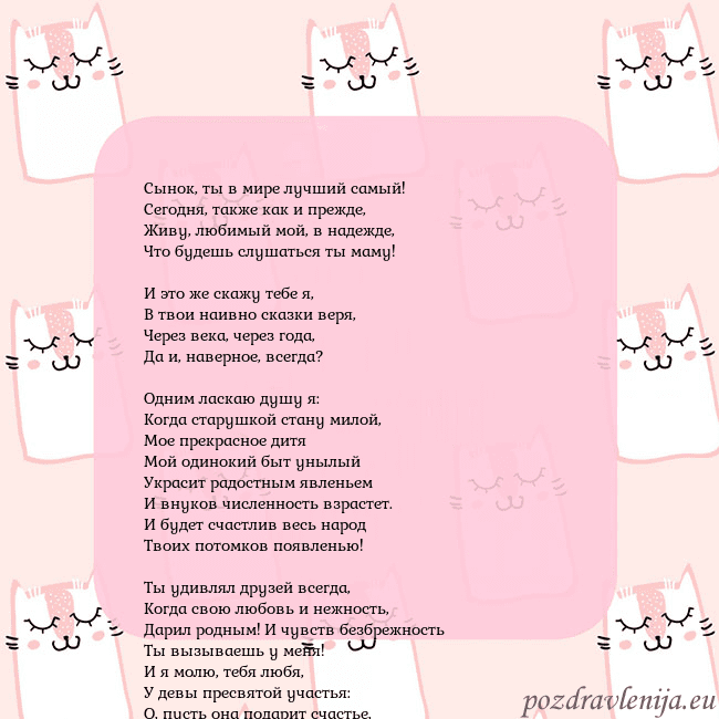 Розовая открытка с забавными кошками