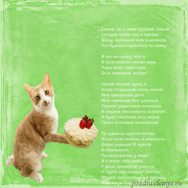 Забавная открытка на день рождения с кошкой и тортом
