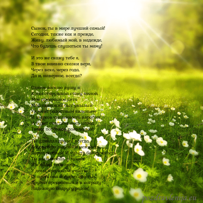 Электронная открытка с утопающим в солнечном свете лугом Сынок, ты в мире лучший самый!
Сегодня, также как Электронная открытка с утопающим в солнечном свете лугом