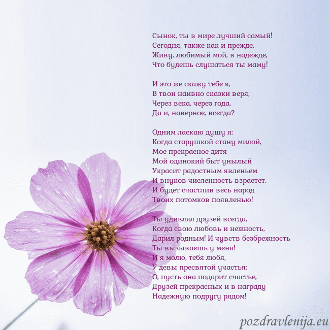 Электронная открытка с фиолетовым цветком