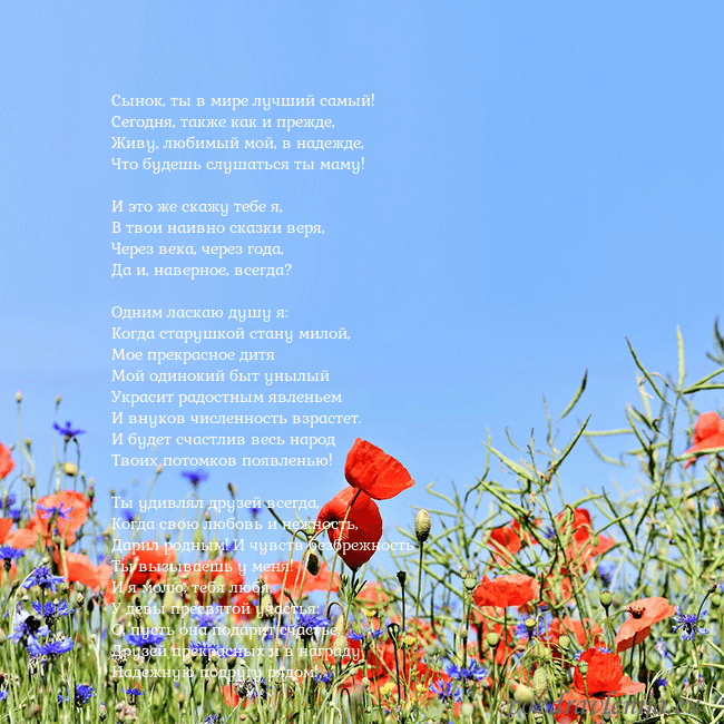 Открытка с маками Сынок, ты в мире лучший самый!
Сегодня, также как Открытка с маками