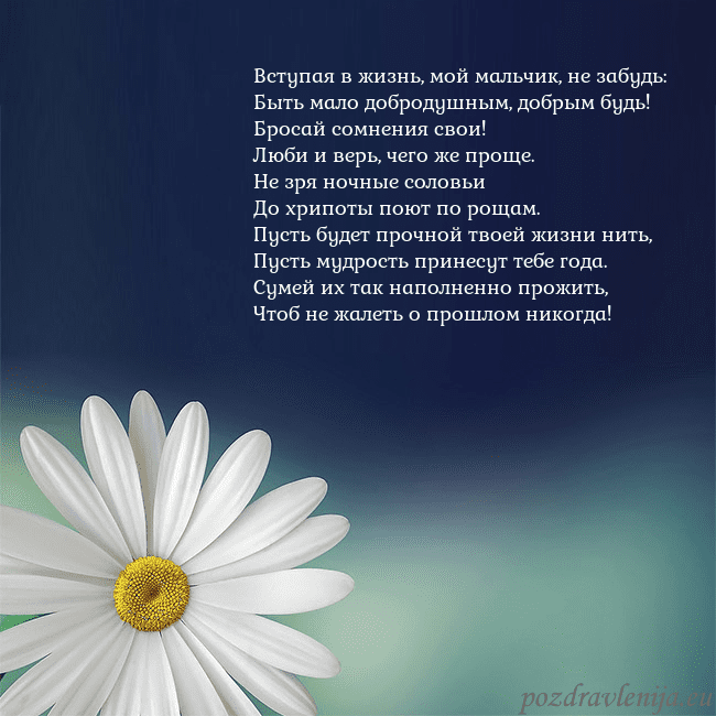 Открытка с большой ромашкой