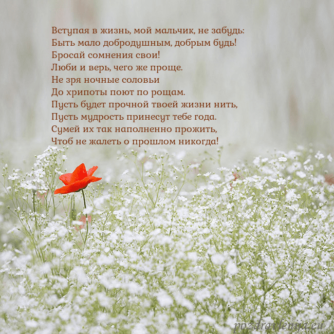 Электронная открытка с белыми цветами