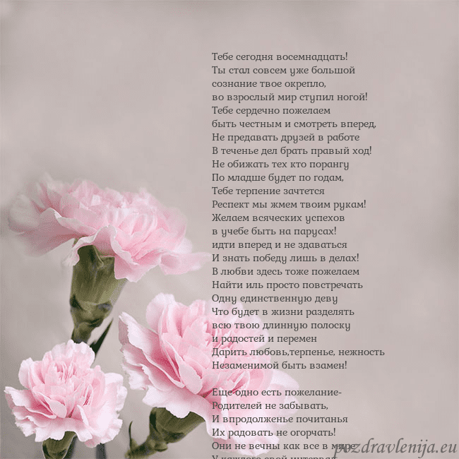 Открытка с розовыми гвоздиками Тебе сегодня восемнадцать!
Ты стал совсем уже боль Открытка с розовыми гвоздиками