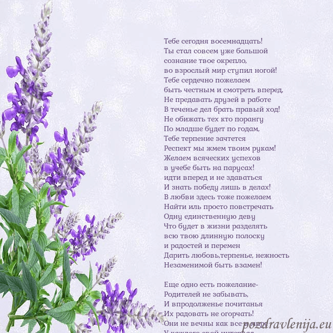 Открытка с люпинами Тебе сегодня восемнадцать!
Ты стал совсем уже боль Открытка с люпинами
