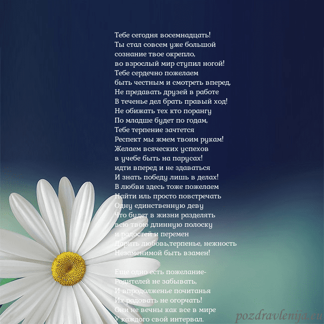 Открытка с большой ромашкой