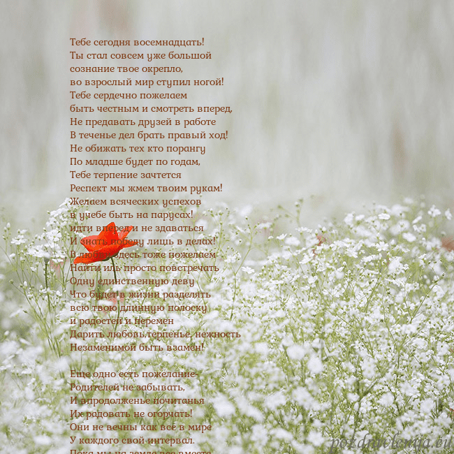 Электронная открытка с белыми цветами