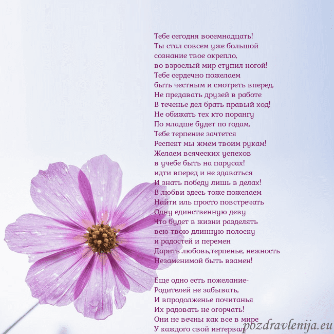 Электронная открытка с фиолетовым цветком