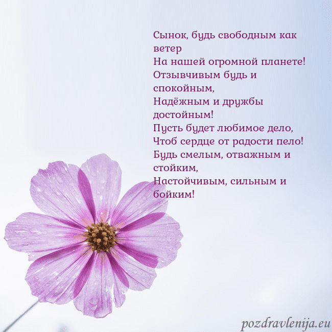 Электронная открытка с фиолетовым цветком