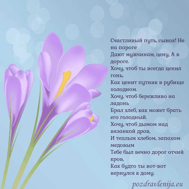 Открытка с крокусом