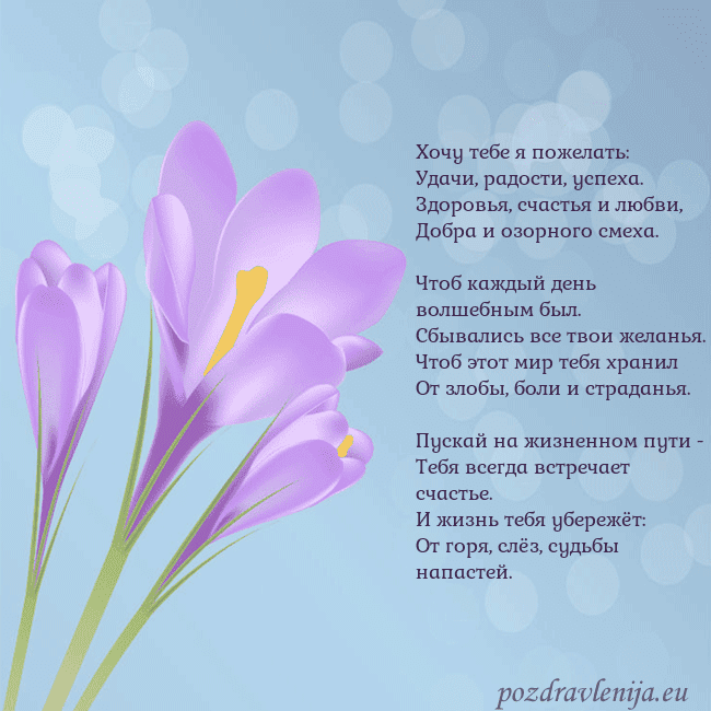 Открытка с крокусом